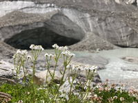 Zaupanje, kljub prihodnosti brez ledu