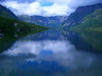 Zeleni koridorji premagujejo meje