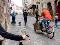 Konferenca "Hoji prijazno okolje – od šole do zdrave skupnosti"