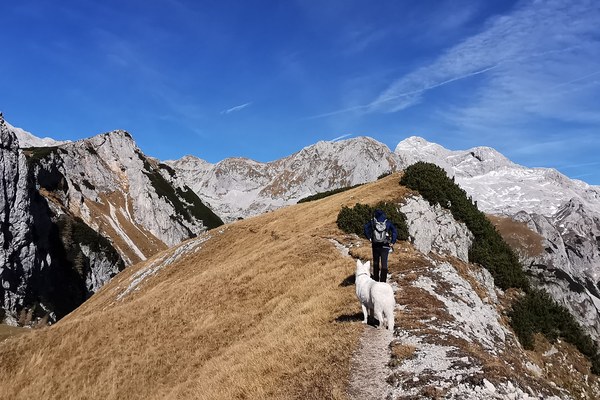 Ponovni zagon alpskega turizma