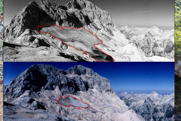 Podnebni cilji in vsebine v vzgoji in izobraževanju