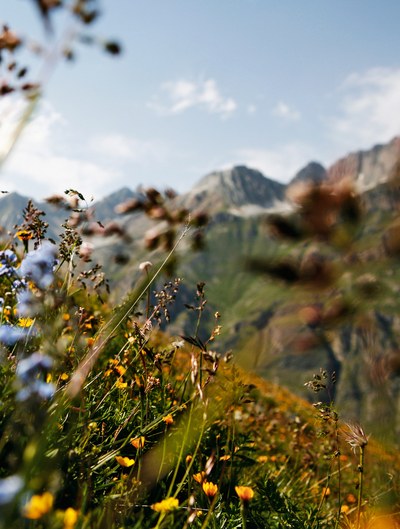 Biotska raznovrstnost zahteva pogumno politiko in prepričljivo izvajanje