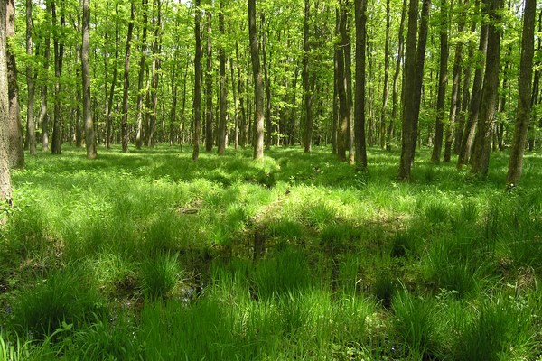 Mesto, podeželje in gore v ravnovesju