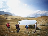 Whatsalp začenja svoj pohod na Dunaju