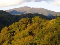 Resolution on the role of local government and administration in sustainable development