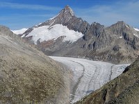 Bolzanska resolucija